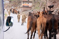 Kashmir Pakistan 19